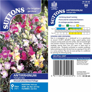 Antirrhinum Twilight Mix